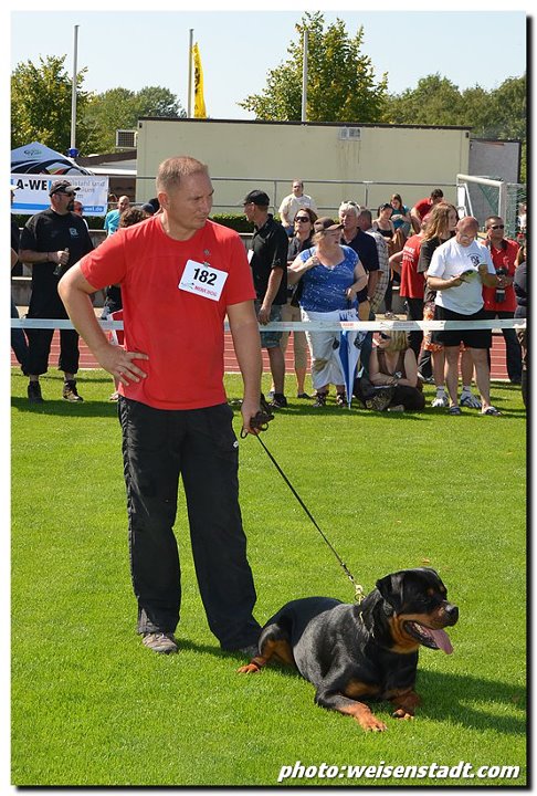 Excalibur vom Quercus Wald Excalibur vom Quercus Wald